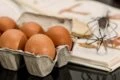 Pasta frolla tradizionale, sablèe, montata: 3 ricette perfette per ogni occasione